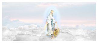 DNSEMP-L-113 Lady of the Miraculous Medal B